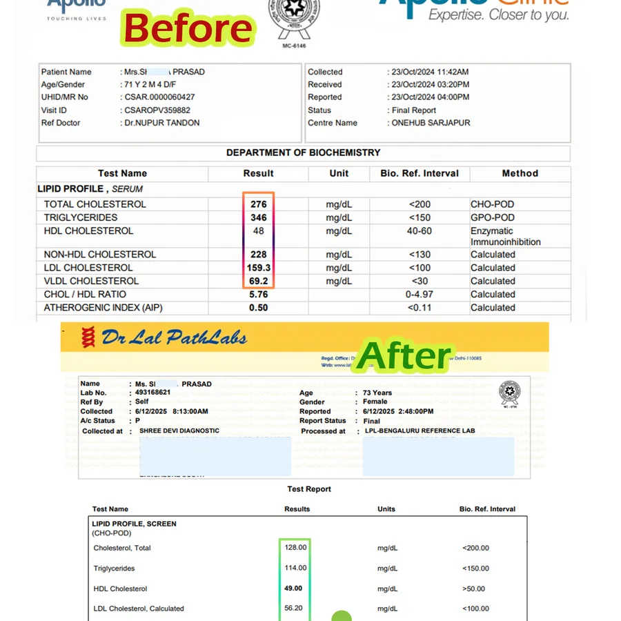 Cholesterol Improvement with Homeopathy